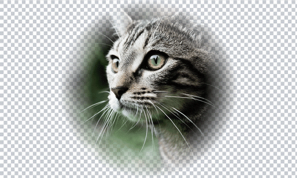 Advanced Halftone Effects